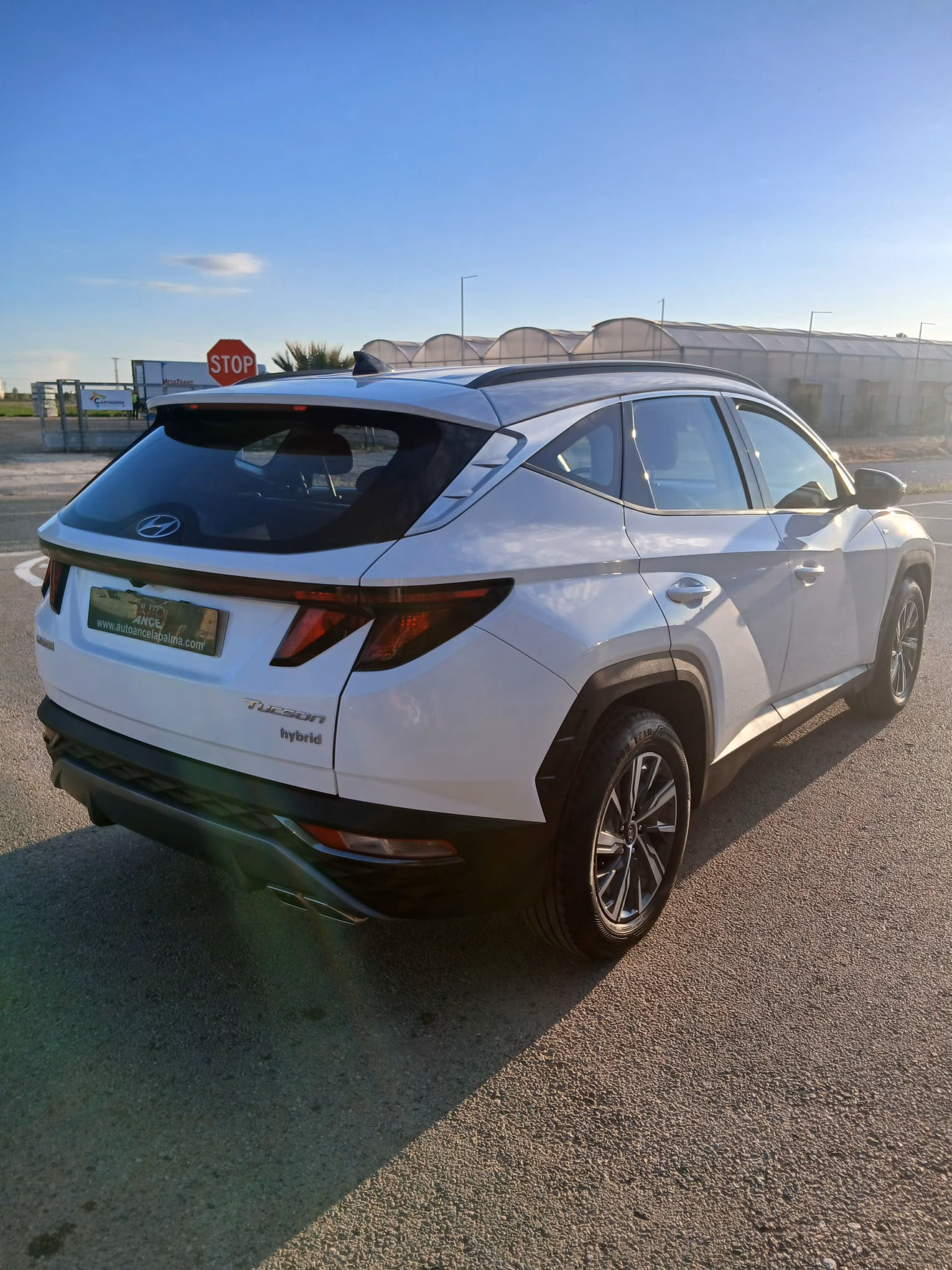 HYUNDAI TUCSON 1.6 CRDI 136CV MAXX 48V HÍBRIDO - Imagen 2