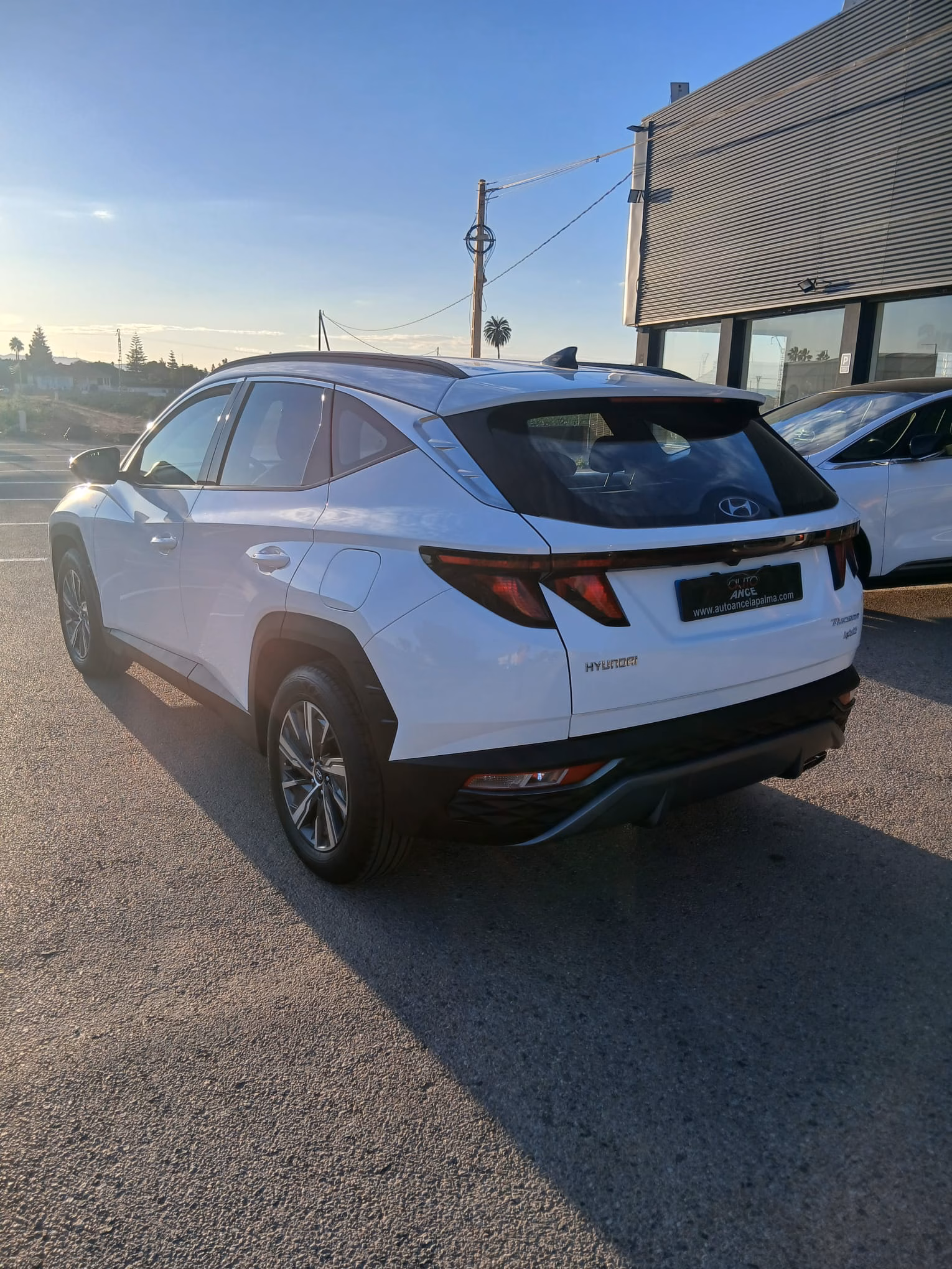 HYUNDAI TUCSON 1.6 CRDI 136CV MAXX 48V HÍBRIDO - Imagen 6