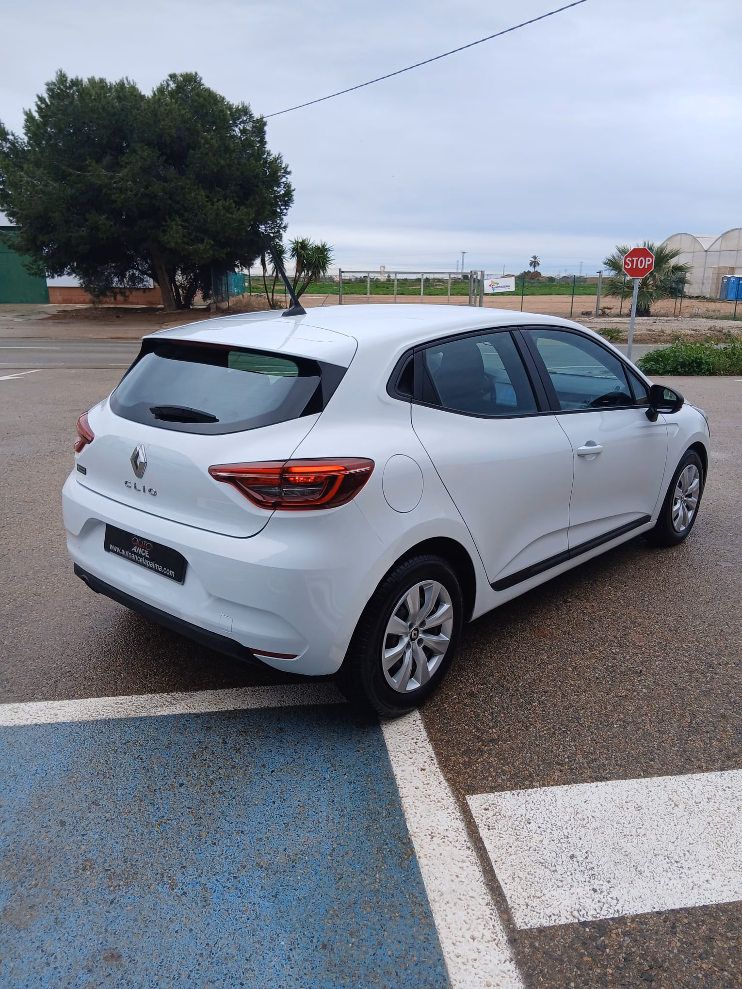 RENAULT CLIO 1.5 DCI 100CV - Imagen 4