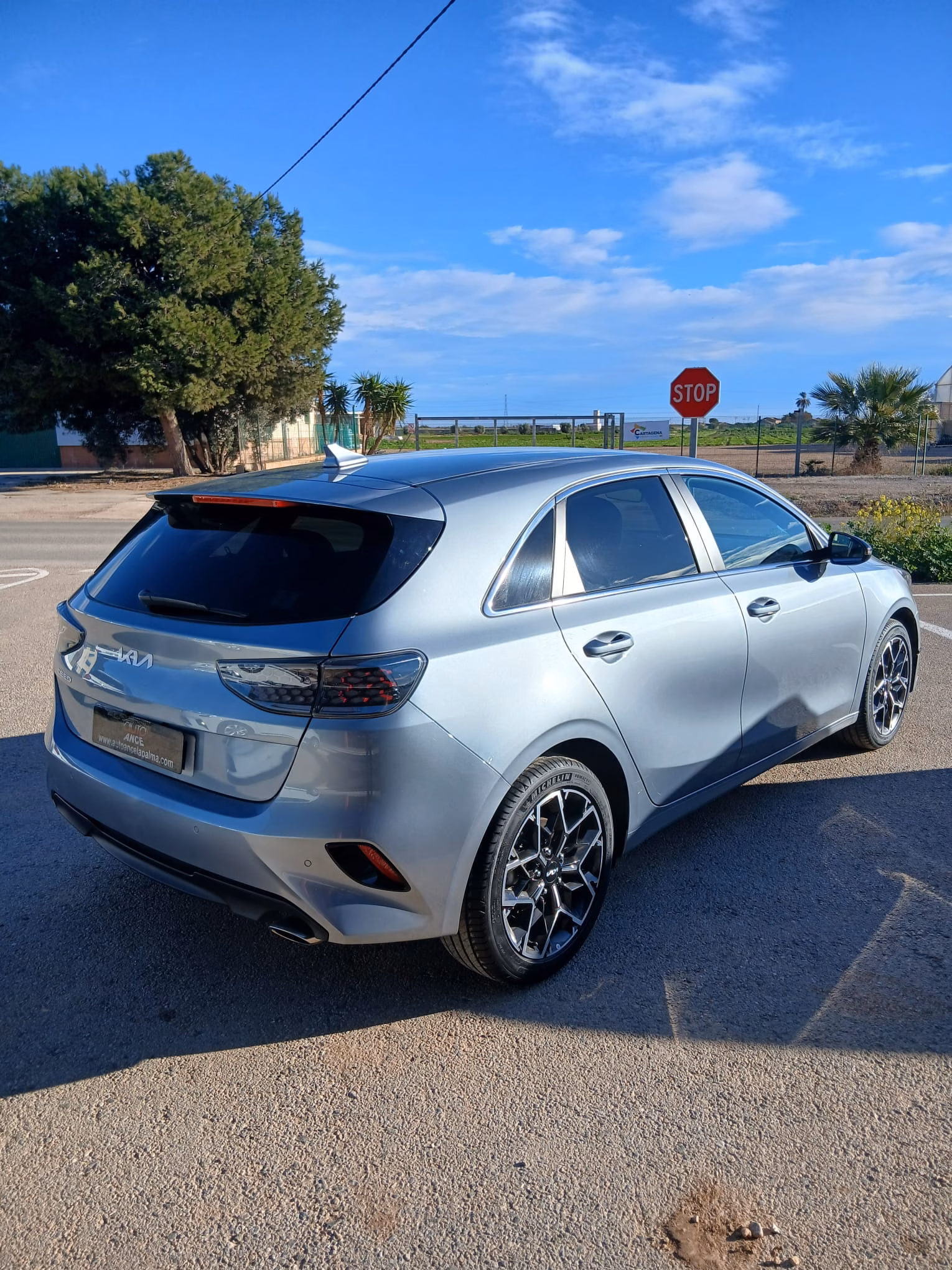 KIA CEED 1.0 T-GDI 100CV 2025 STYLE EDITION - Imagen 5